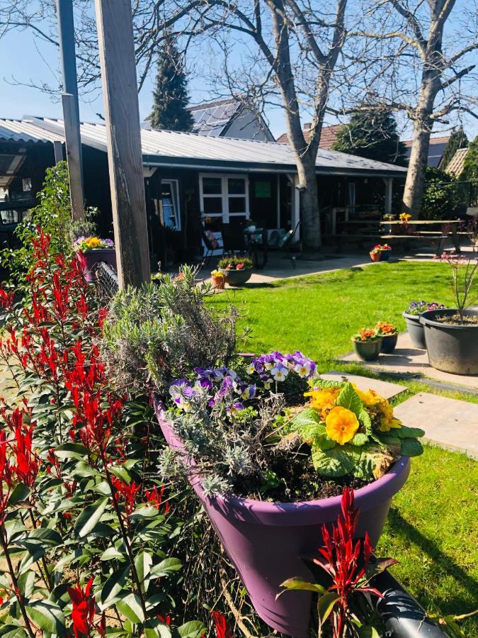 B &B Yuupke Maasbree Noord-Limburg Venlo Roermond Bed & Breakfast Bagian luar foto