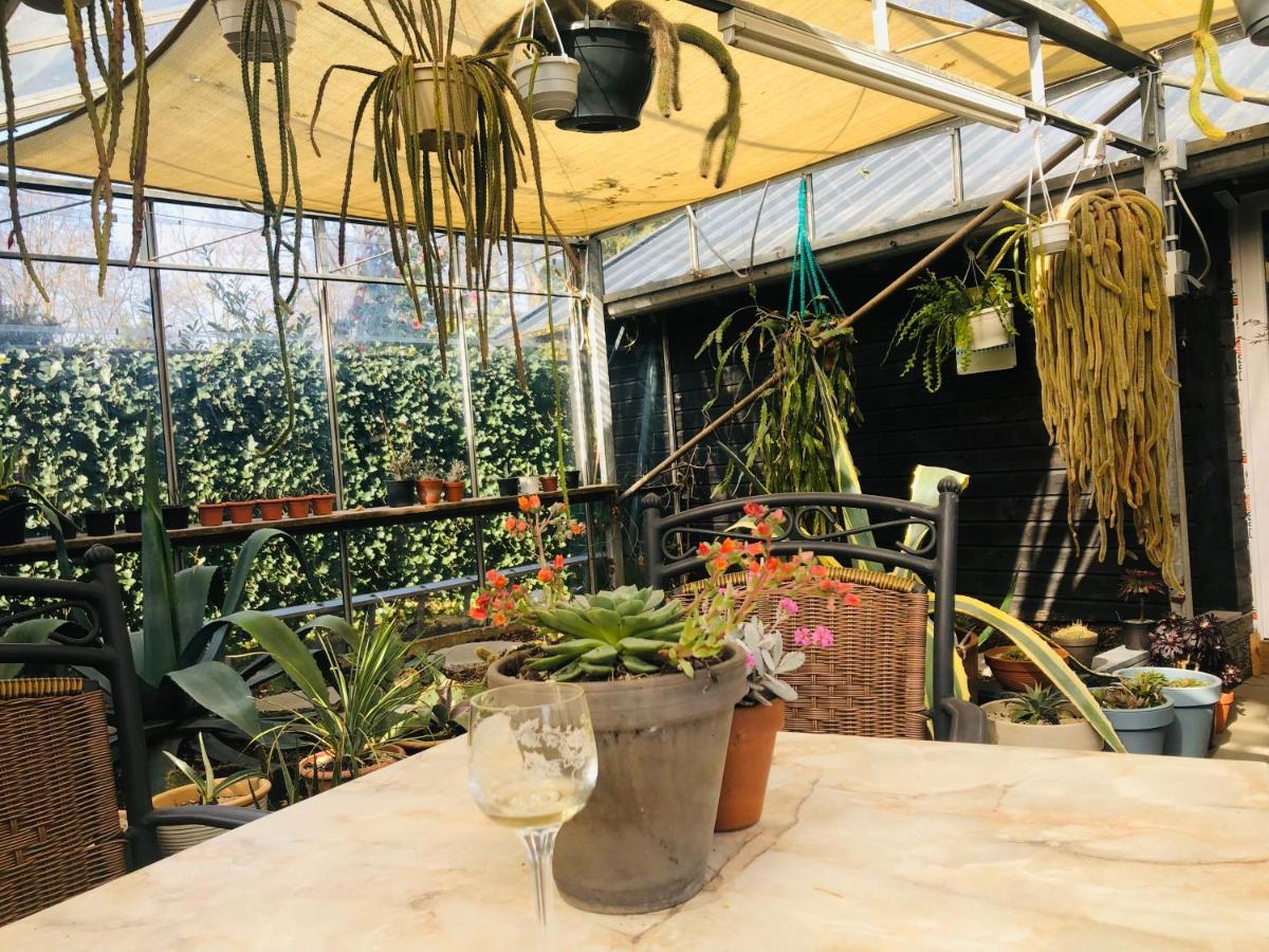 B &B Yuupke Maasbree Noord-Limburg Venlo Roermond Bed & Breakfast Bagian luar foto