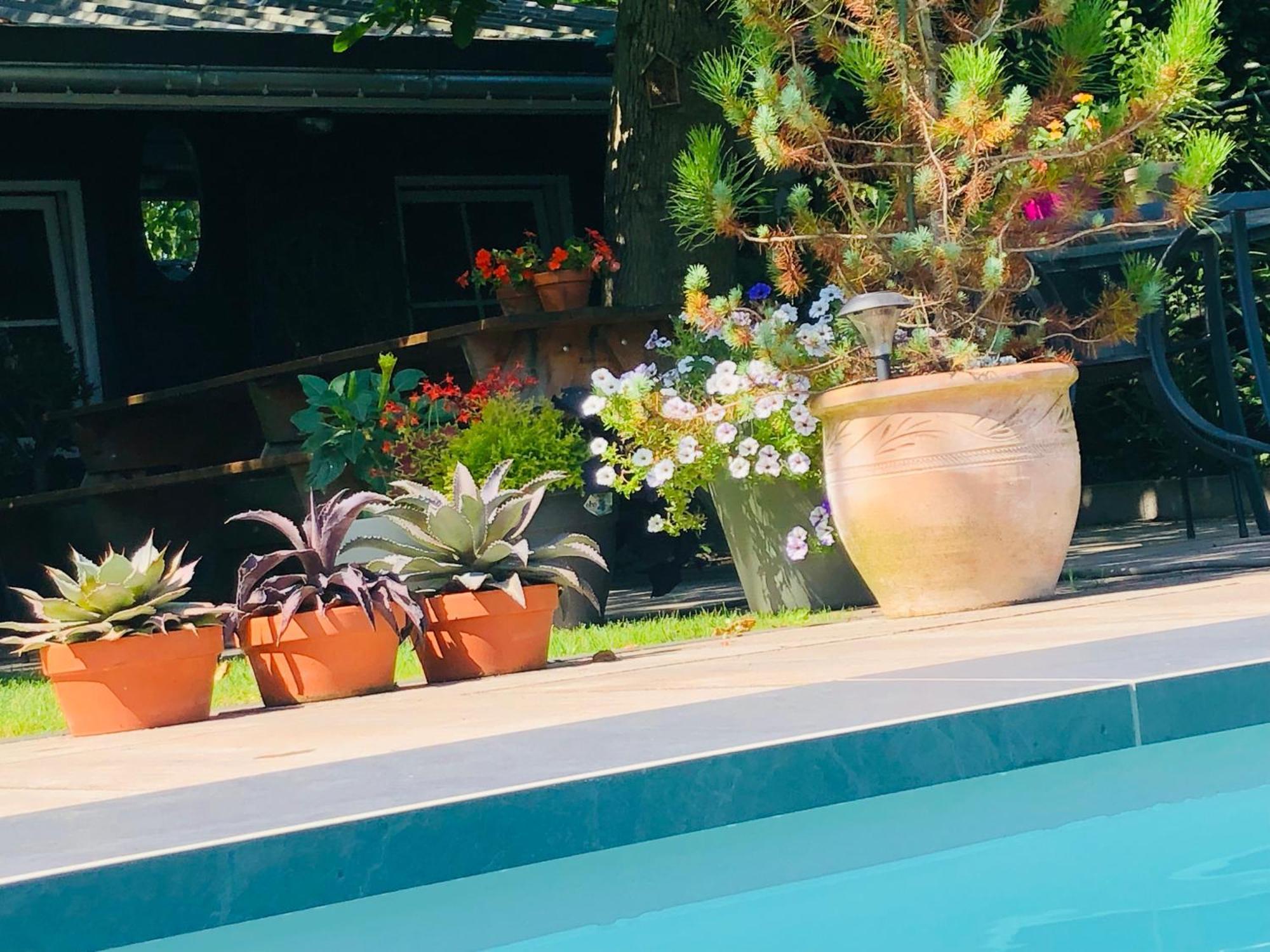 B &B Yuupke Maasbree Noord-Limburg Venlo Roermond Bed & Breakfast Bagian luar foto