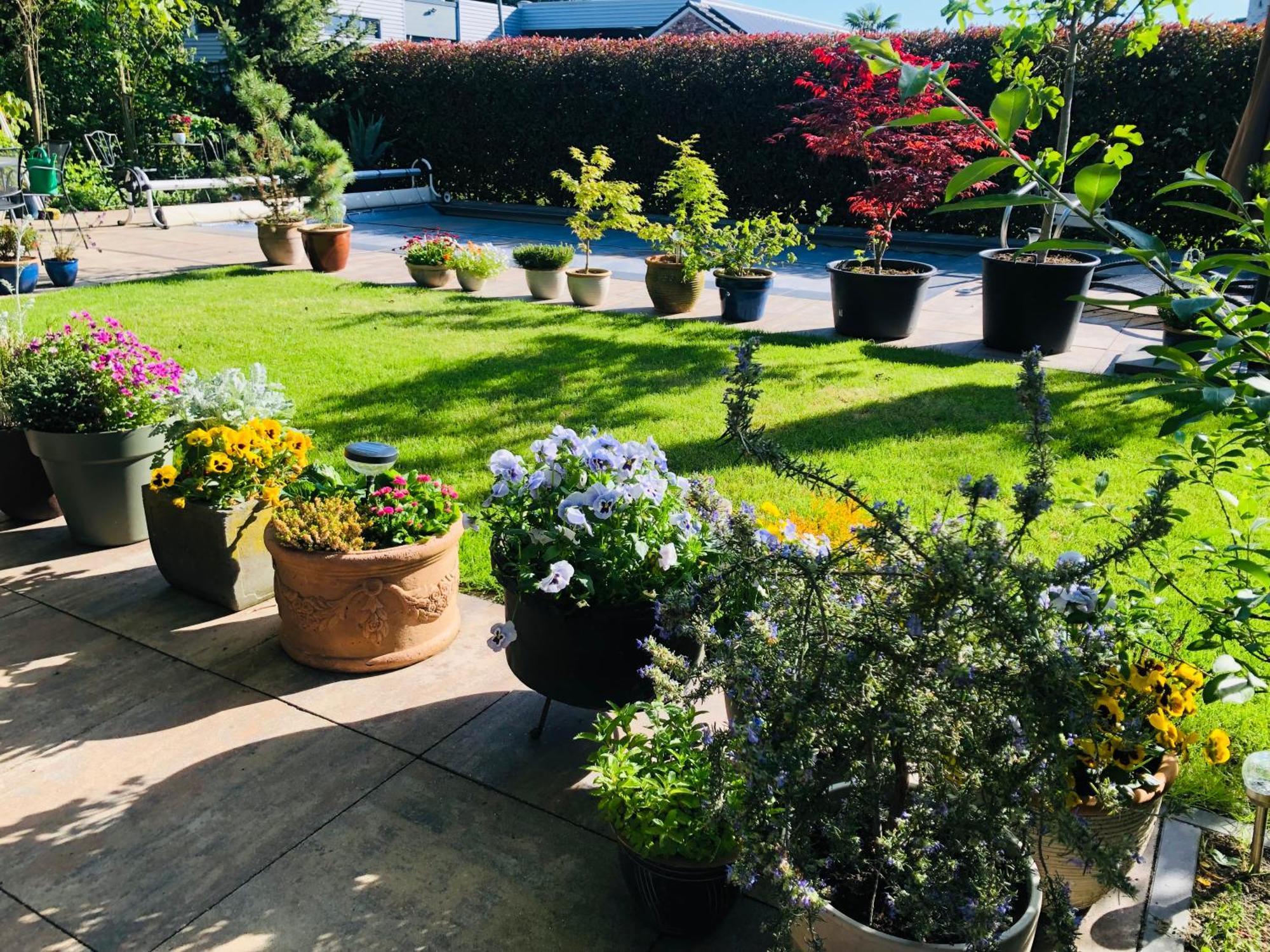 B &B Yuupke Maasbree Noord-Limburg Venlo Roermond Bed & Breakfast Bagian luar foto